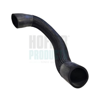 FURTUN EAR SUPRAALIMENTARE