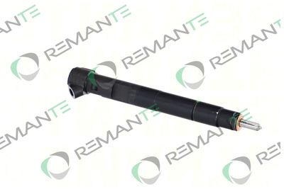 INJECTOR REMANTE 002003001143R 3