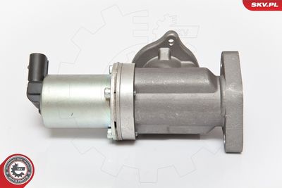 EGR Valve 14SKV054