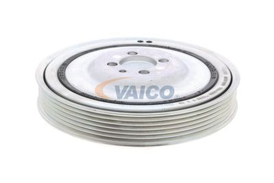 SET FULIE ARBORE COTIT VAICO V240865 17