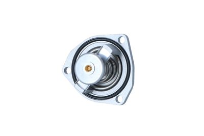 TERMOSTAT LICHID RACIRE NRF 725296 7