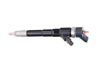 INJECTOR REMANTE 002003000156R 13