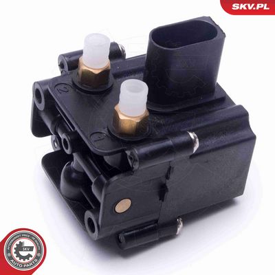 SUPAPA SISTEM SUPRAALIMENTARE ESEN SKV 93SKV814 1