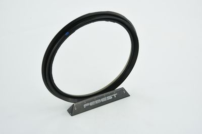 INEL DE ETANSARE BUTUC ROATA FEBEST 95BCY88750407X 48