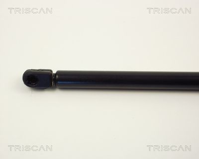 AMORTIZOR PORTBAGAJ KAWE 87102507 1