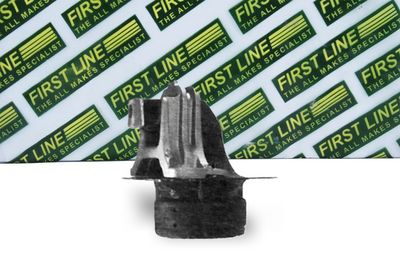 окачване, двигател FIRST LINE FEM3379
