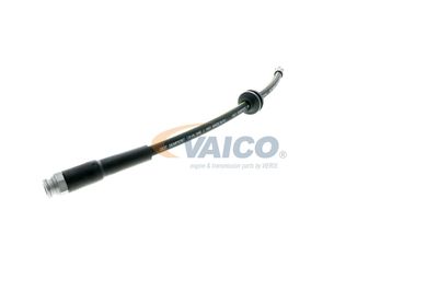 FURTUN FRANA VAICO V220627 18