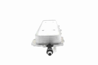 RADIATOR ULEI ULEI MOTOR VEMO V48600024 7