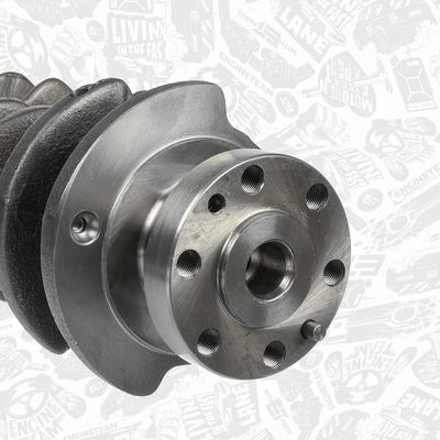 ARBORE COTIT ET ENGINETEAM HK0191VR1 4