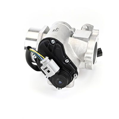 SUPAPA EGR DELPHI EG1046112B1 21