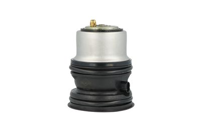 TERMOSTAT LICHID RACIRE NRF 725432 38