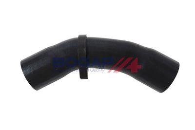 FURTUN EAR SUPRAALIMENTARE BOGAP B1711212 2
