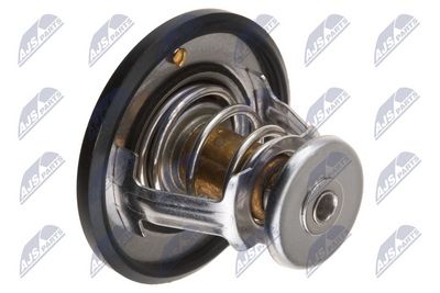 TERMOSTAT LICHID RACIRE NTY CTMSB000 1