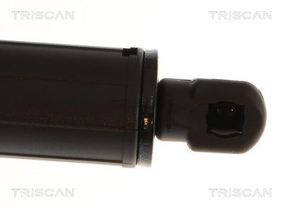 Gasfjeder, kuffert-/lastrum TRISCAN 8710 11144