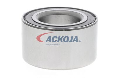 SET RULMENT ROATA ACKOJA A320020 55