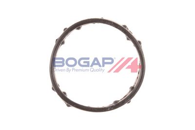 GARNITURA CAPAC SUPAPE BOGAP A1118115 2