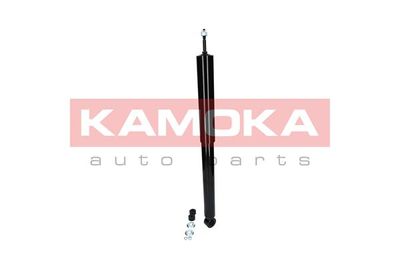 Shock Absorber 2000819