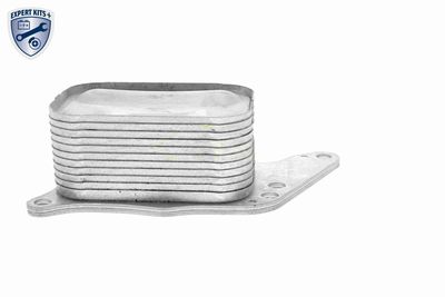 RADIATOR ULEI ULEI MOTOR VEMO V42600008 7
