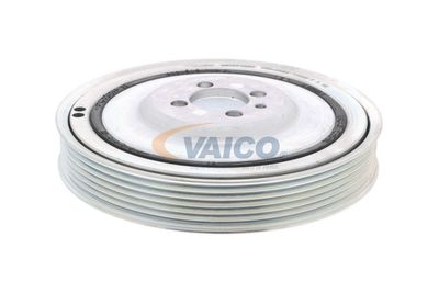 SET FULIE ARBORE COTIT VAICO V240865 4