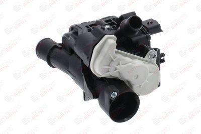 FLANSA LICHID RACIRE BIRTH 81801 3