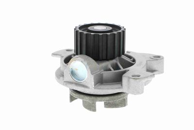 POMPă DE APă RăCIRE MOTOR VAICO V1050017 5