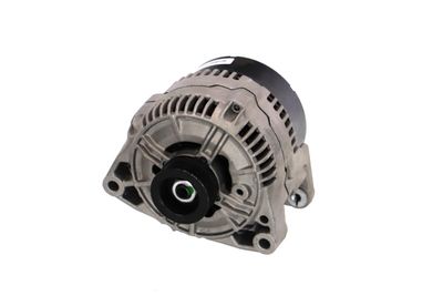 GENERATOR / ALTERNATOR REMANTE 011003000034R 61
