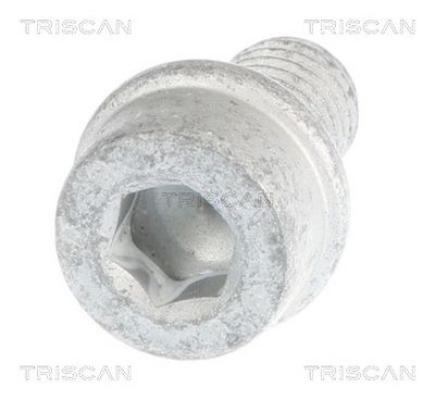 Boulon de fixation, bras transversal TRISCAN