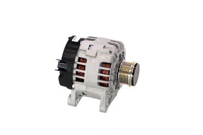 GENERATOR / ALTERNATOR REMANTE 011003000694R 49