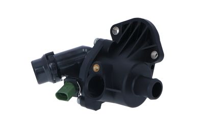 TERMOSTAT LICHID RACIRE NRF 725028 31