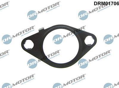 Těsnění, AGR ventil LIZARTE DRM01706