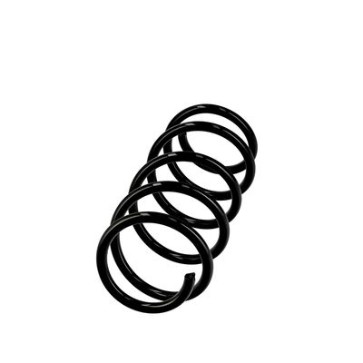 ARC SPIRAL EIBACH R10116 14