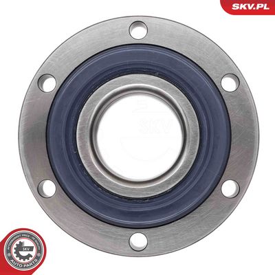 SET RULMENT ROATA ESEN SKV 29SKV703 4