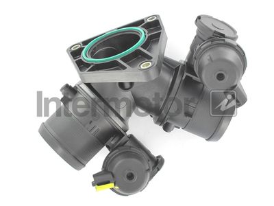 Throttle Body Intermotor 68367