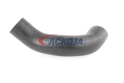 FURTUN EAR SUPRAALIMENTARE ACKOJA A380298 35