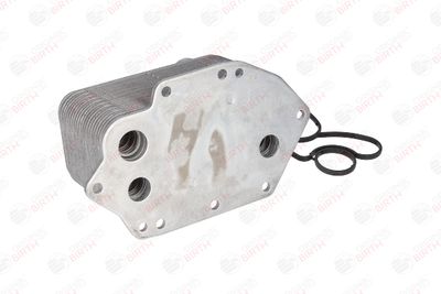 RADIATOR ULEI ULEI MOTOR BIRTH 80308 6