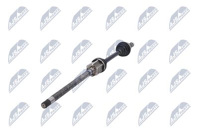 PLANETARA NTY NPWLR031 36