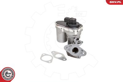 EGR Valve 14SKV038