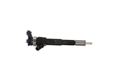 INJECTOR REMANTE 002003001494R 45