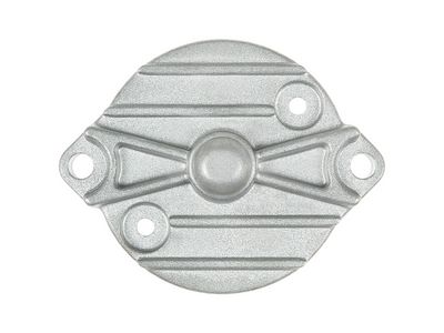 AS-PL Starterdeckel, Vergaser