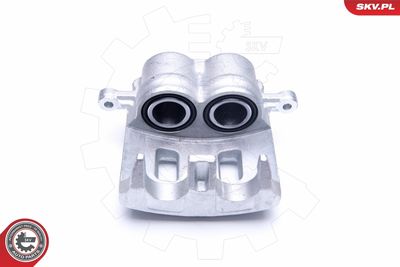 Brake Caliper 42SKV982