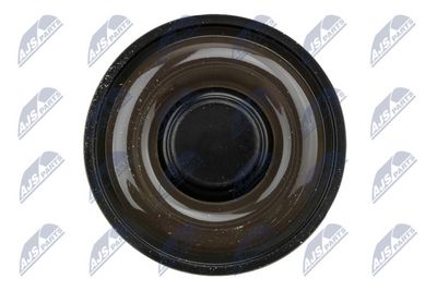 CAPAC CULBUTOR NTY BPZRE005 3