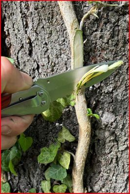 Vorschau Klappmesser Ansicht 8