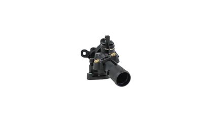 TERMOSTAT LICHID RACIRE NRF 725078 27