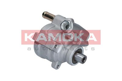 Hydraulic Pump, steering PP081