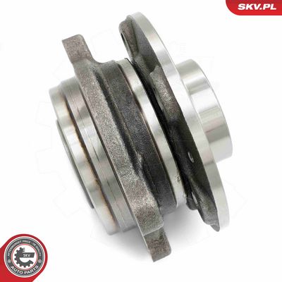 SET RULMENT ROATA ESEN SKV 29SKV306 3
