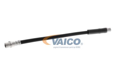 FURTUN FRANA VAICO V250900 56