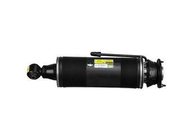 LUFTFEDERBEIN Arnott SK2485 28