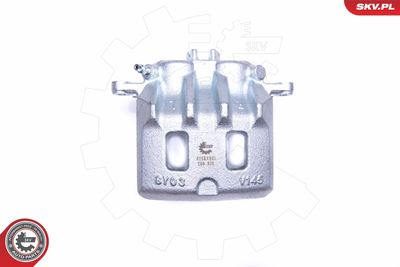 Brake Caliper 42SKV981