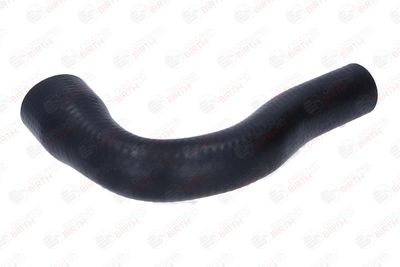 FURTUN EAR SUPRAALIMENTARE BIRTH 55963 6