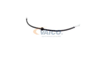 FURTUN FRANA VAICO V201909 38